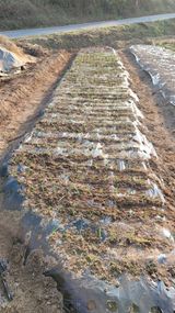 팜모닝 11월 농사 계획 공유하기·참여글 게시글 이미지