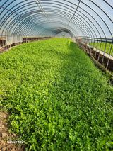 팜모닝 기타작물·영농일지 게시글 이미지