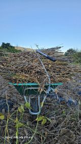 팜모닝 콩·영농일지 게시글 이미지