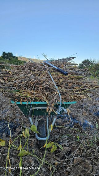 과학농님의 콩 · 영농일지 작성글 사진