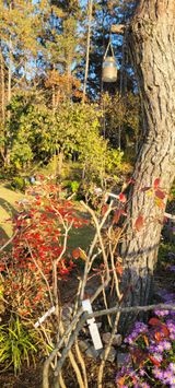 팜모닝 블루베리·영농일지 게시글 이미지