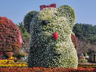 이철희님의 자유주제 · 자유게시판 작성글 사진