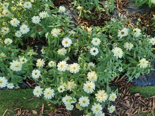 이철희님의 자유주제 · 자유게시판 작성글 사진