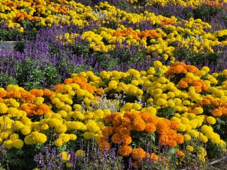이철희님의 자유주제 · 자유게시판 작성글 사진