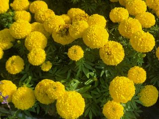 이철희님의 자유주제 · 자유게시판 작성글 사진