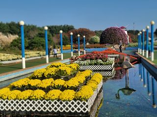 이철희님의 자유주제 · 자유게시판 작성글 사진