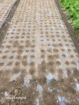 팜모닝 마늘·영농일지 게시글 이미지