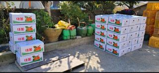 김영래큰집참농장한우님의 감 · 영농일지 작성글 사진