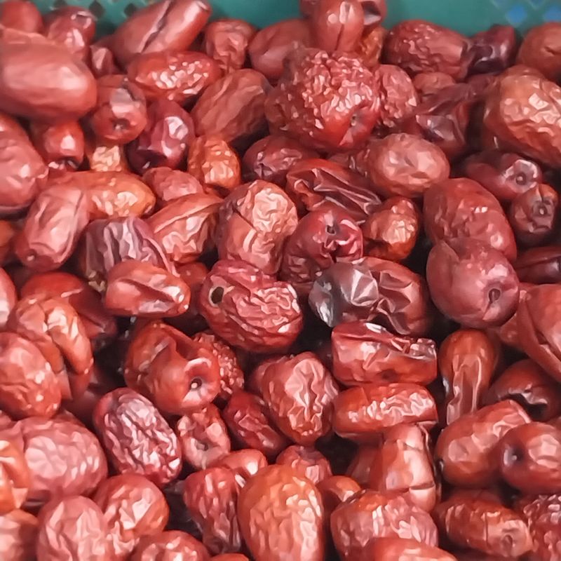 장터 상품 [햇 건대추 (판매완료)찍초 파치  4키로 판매합니다] 썸네일