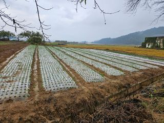 백호순(후추)님의 자유주제 · 자유게시판 작성글 사진