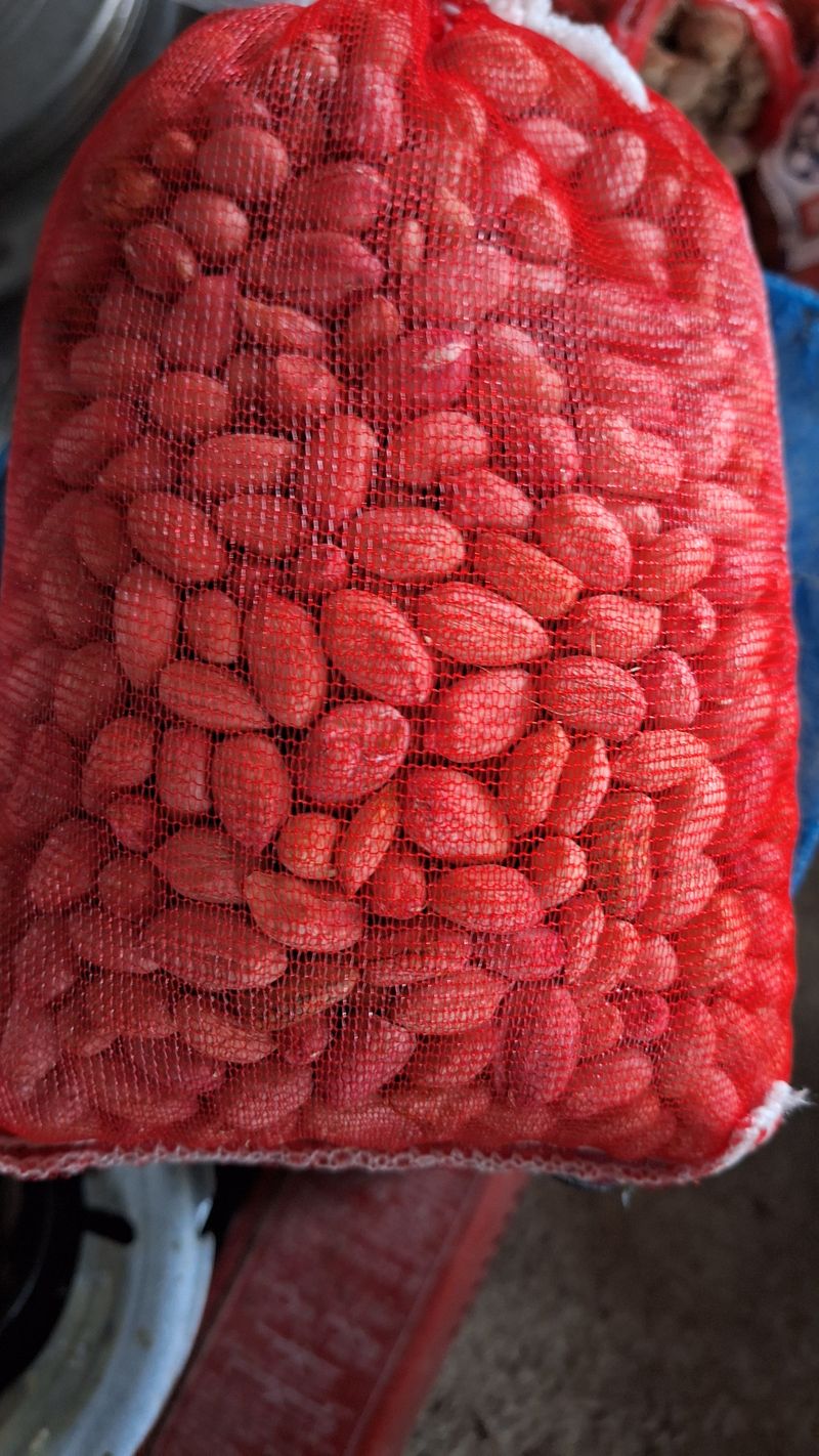 장터 상품 [땅콩] 썸네일