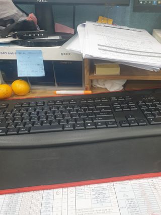 복숭아5852님의 배추 · 영농일지 작성글 사진