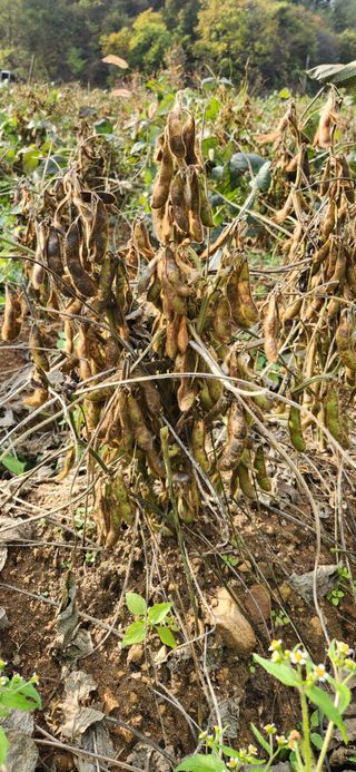 임원식님의 자유주제 · 자유게시판 작성글 사진