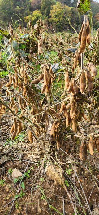 임원식님의 자유주제 · 자유게시판 작성글 사진