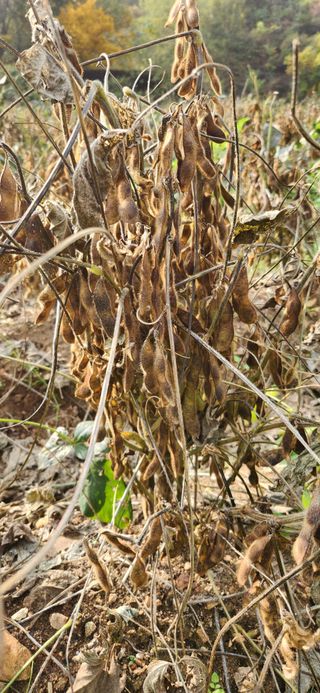임원식님의 자유주제 · 자유게시판 작성글 사진
