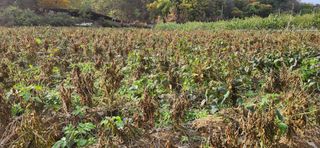 임원식님의 자유주제 · 자유게시판 작성글 사진