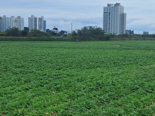 박용한님의 자유주제 · 자유게시판 작성글 사진