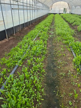 나주 박정화님의 자유주제 · 자유게시판 작성글 사진