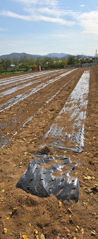 최종태님의 자유주제 · 자유게시판 작성글 사진