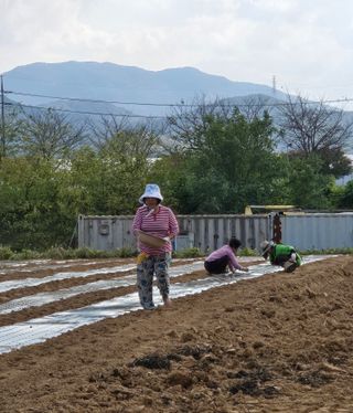 최종태님의 자유주제 · 자유게시판 작성글 사진