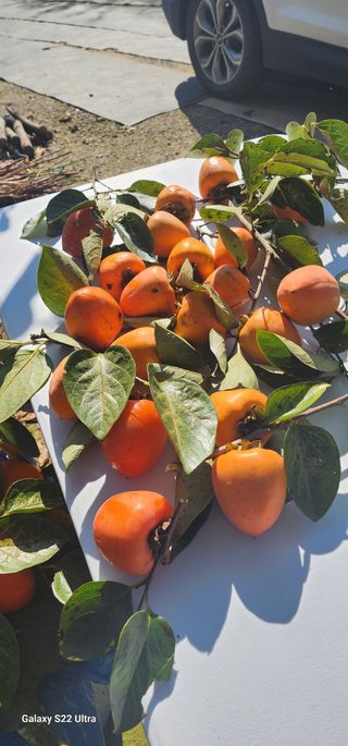 성창준님의 자유주제 · 자유게시판 작성글 사진