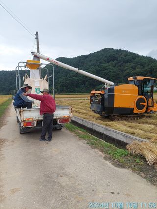 황대헌님의 벼 · 영농일지 작성글 사진