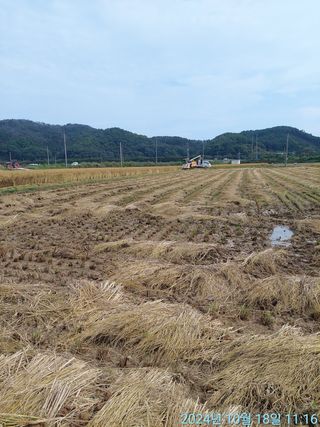 황대헌님의 벼 · 영농일지 작성글 사진