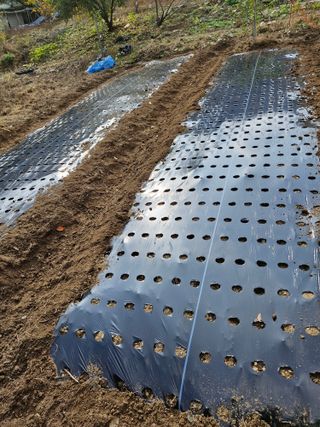 낙엽교목류21691님의 자유주제 · 자유게시판 작성글 사진