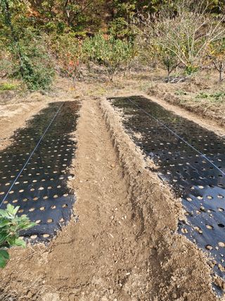 낙엽교목류21691님의 자유주제 · 자유게시판 작성글 사진