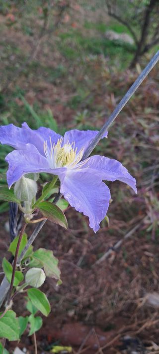 이영미님의 자유주제 · 자유게시판 작성글 사진