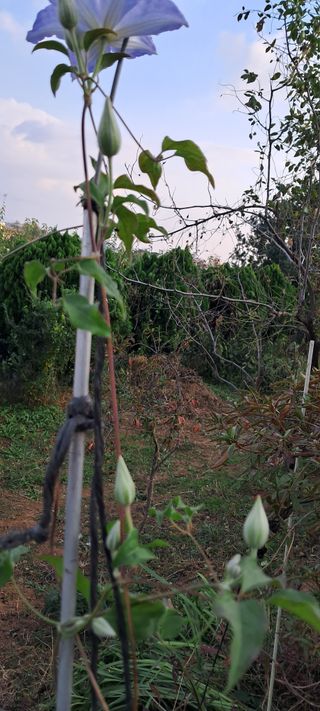 이영미님의 자유주제 · 자유게시판 작성글 사진