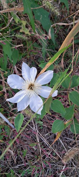이영미님의 자유주제 · 자유게시판 작성글 사진
