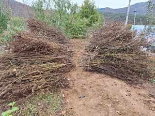 정희군님의 11월 농사 계획 공유하기 · 참여글 작성글 사진