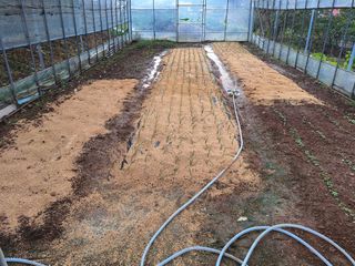 정희군님의 11월 농사 계획 공유하기 · 참여글 작성글 사진