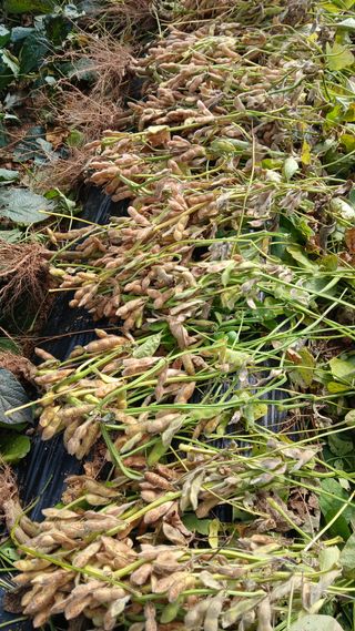 이명규님의 자유주제 · 자유게시판 작성글 사진