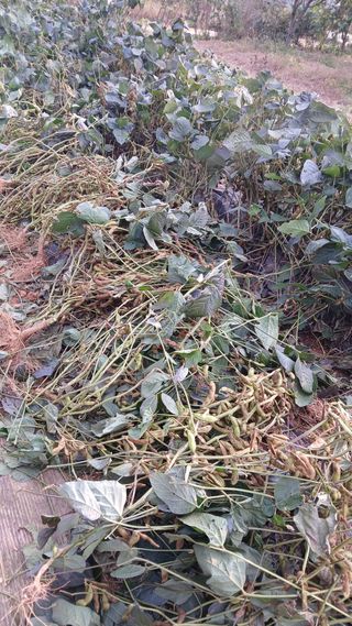 이명규님의 자유주제 · 자유게시판 작성글 사진