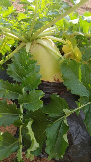 이명규님의 자유주제 · 자유게시판 작성글 사진