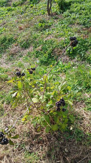 이명규님의 자유주제 · 자유게시판 작성글 사진