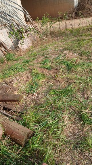 이명규님의 자유주제 · 자유게시판 작성글 사진