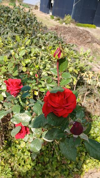 이명규님의 자유주제 · 자유게시판 작성글 사진