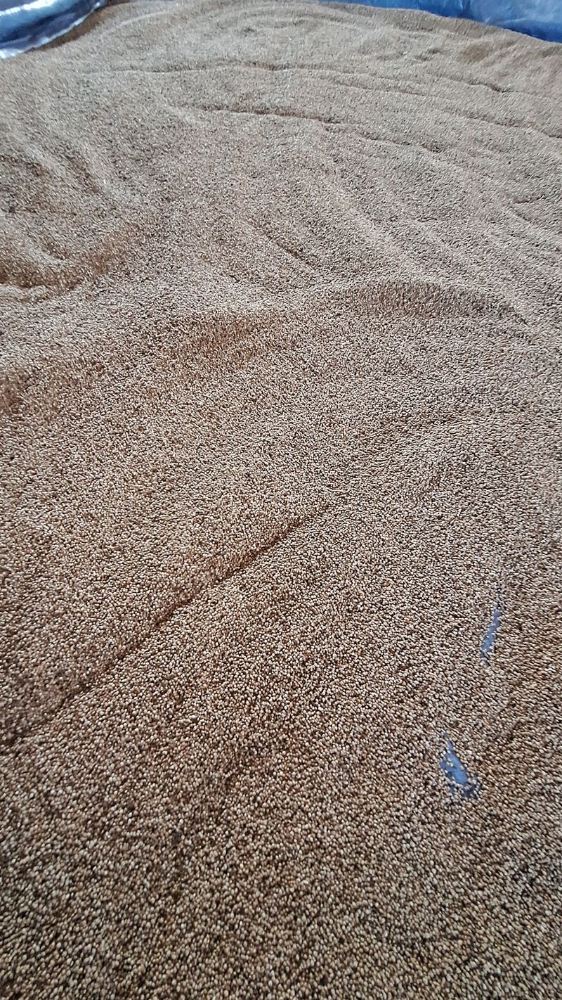 장터 상품 [들깨] 썸네일