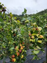 팜모닝 11월 농사 계획 공유하기·참여글 게시글 이미지