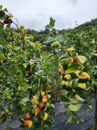 남창농사꾼님의 11월 농사 계획 공유하기 · 참여글 작성글 사진