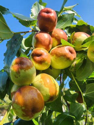 남창농사꾼님의 11월 농사 계획 공유하기 · 참여글 작성글 사진