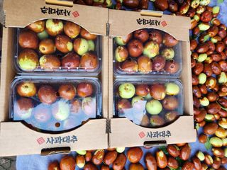 남창농사꾼님의 11월 농사 계획 공유하기 · 참여글 작성글 사진