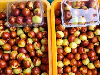 남창농사꾼님의 11월 농사 계획 공유하기 · 참여글 작성글 사진