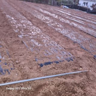 이천산수유님의 11월 농사 계획 공유하기 · 참여글 작성글 사진