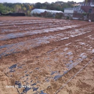 이천산수유님의 11월 농사 계획 공유하기 · 참여글 작성글 사진