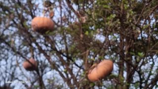 이천산수유님의 11월 농사 계획 공유하기 · 참여글 작성글 사진