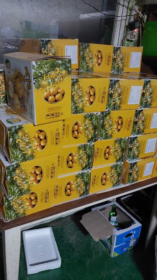 손경식드림농장님의 작성글 사진